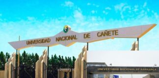 UNIVERSIDADES PÚBLICAS DE LIMA PROVINCIAS ENTRE LAS PEORES DEL PAÍS, SEGÚN RANKING SUNEDU