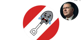 ACCIÓN POPULAR: DEL PARTIDO HISTÓRICO AL CAOS COMO DOCTRINA