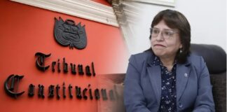 TRIBUNAL CONSTITUCIONAL BAJO FUEGO POR CASO CERRÓN
