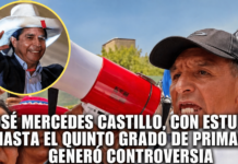 ESCÁND4LO ELECTORAL: AMENAZAS DESDE EL ENTORNO DE CASTILLO