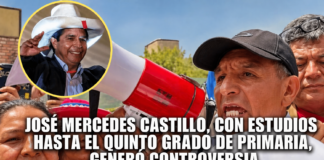 ESCÁND4LO ELECTORAL: AMENAZAS DESDE EL ENTORNO DE CASTILLO