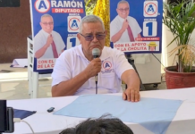¿CANDIDATO O SOMBRA DEL PODER?