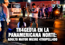 SUCEDIO EN LA PANAMERICANA NORTE: ADULTO MAYOR MUERE ATROPELLADO