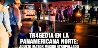 SUCEDIO EN LA PANAMERICANA NORTE: ADULTO MAYOR MUERE ATROPELLADO