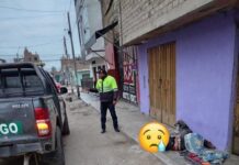 M4CABRO HALLAZGO EN IMPERIAL: INVESTIGAN MUERTE DE UNA PERSONA EN LA VÍA PÚBLICA