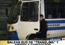 ▶️¡PÁNICO EN EL TRANSLIMA!