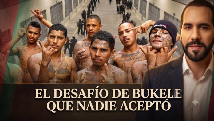 BUKELE (1)