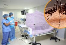 ▶️¿EL DENGUE NOS GANARÁ LA BATALLA?