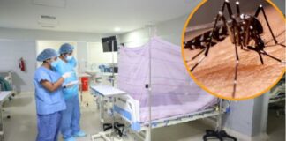 ▶️¿EL DENGUE NOS GANARÁ LA BATALLA?