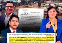 ¿CARGOS PÚBLICOS POR MENTIRAS?