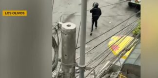 ▶️¡DE MILAGRO! ARMA SE TRABA Y EVITA ASESINATO EN LOS OLIVOS