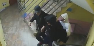 ▶️¡SUCEDIÓ EN EL DISTRITO DE SAN MARTÍN DE PORRES!